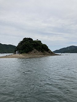 ハート島，うずしお，鳴門，観光船，観潮船